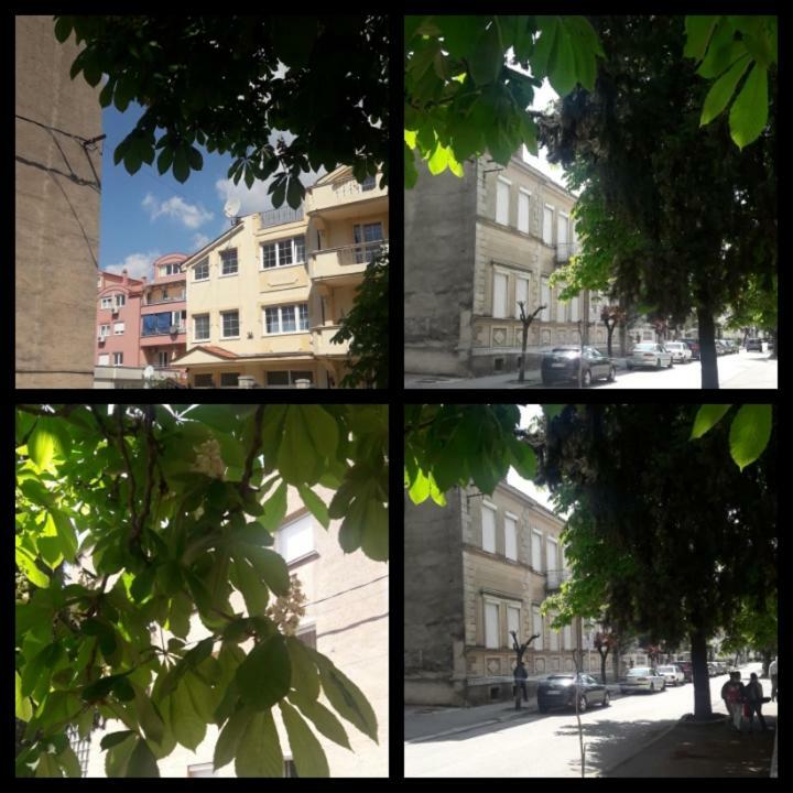 Apartment Voortex Trebinje Exterior photo